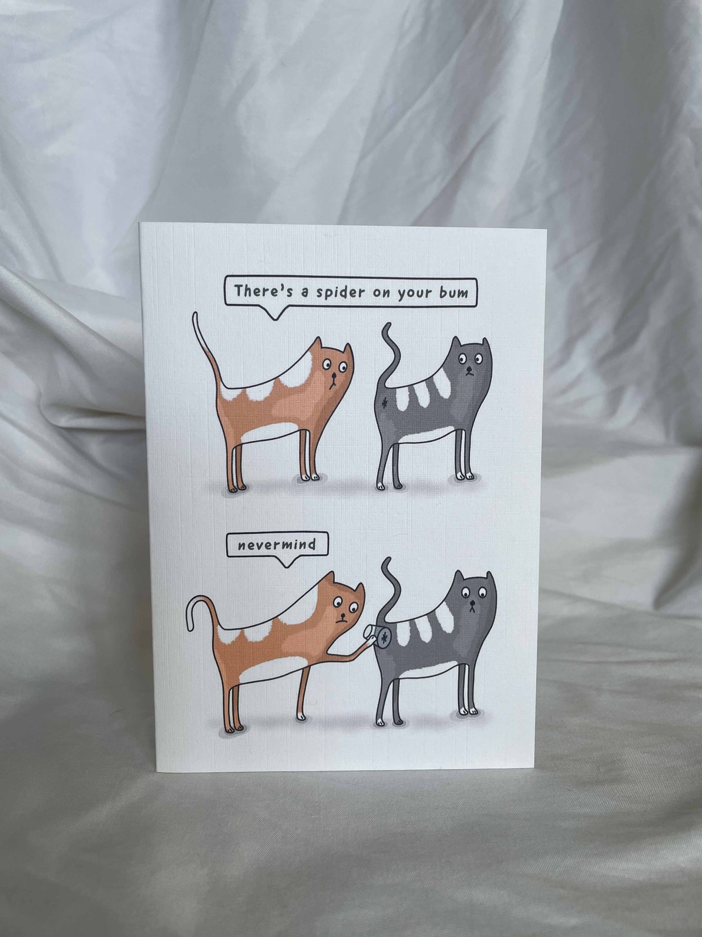 There's a spider on your bum, cats happy birthday card