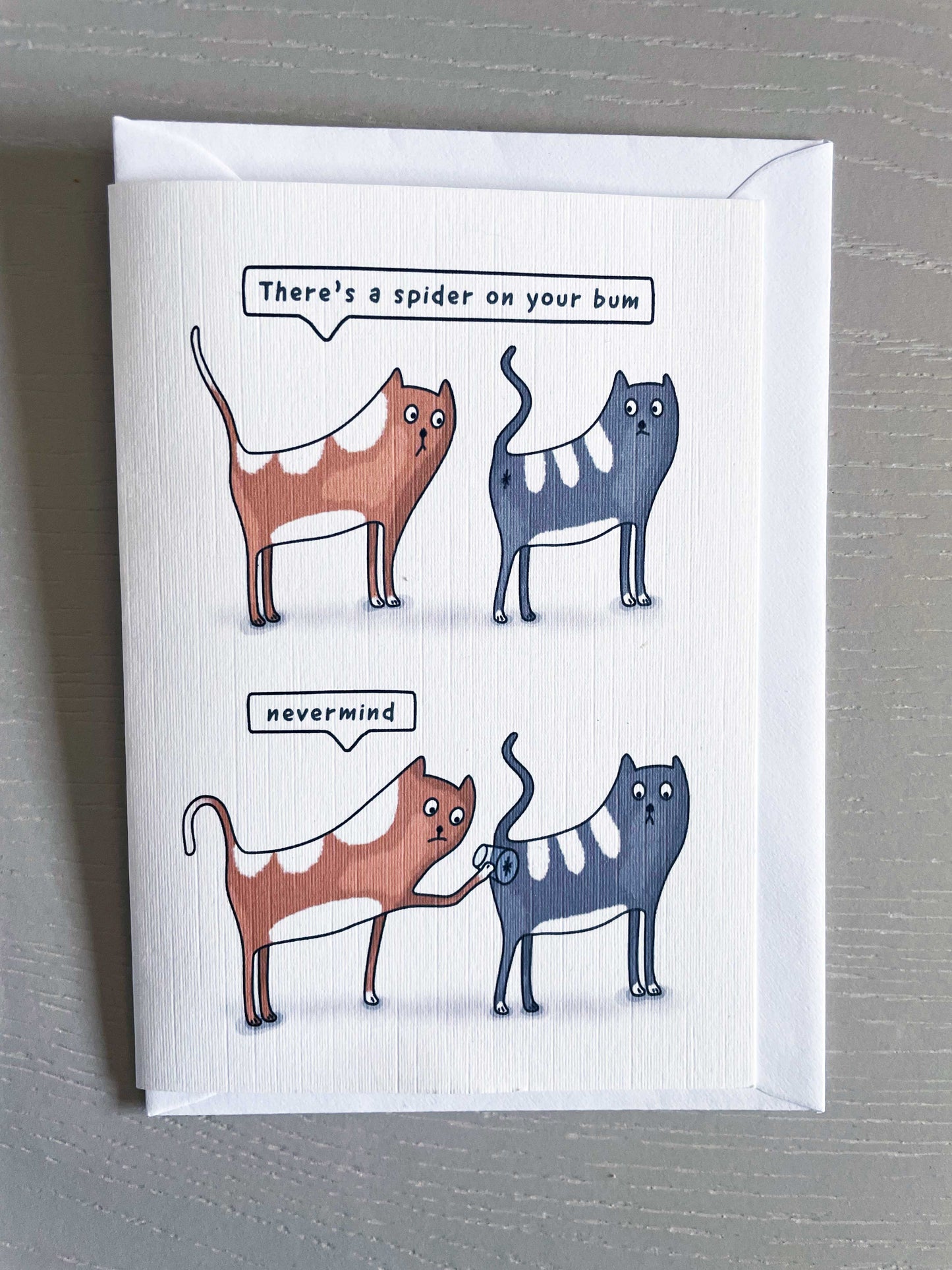 There's a spider on your bum, cats happy birthday card